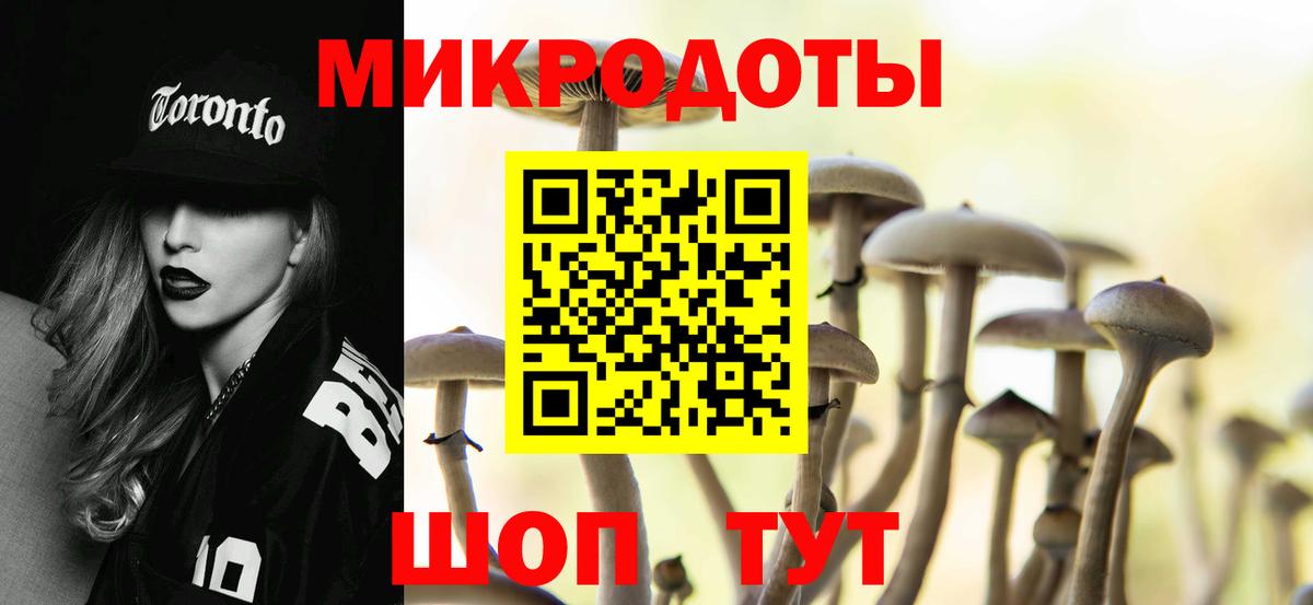 Псилоцибиновые грибы мицелий Дагестанские Огни