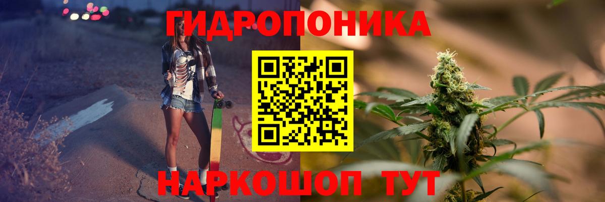 Каннабис Bruce Banner Дагестанские Огни